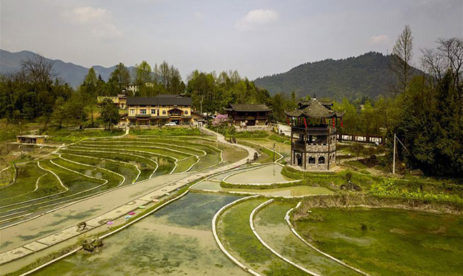 Environment, tourism greatly improved in Fuxing Village, SW China's Chongqing