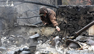 Wildfire sweeps through U.S. state of Tennessee