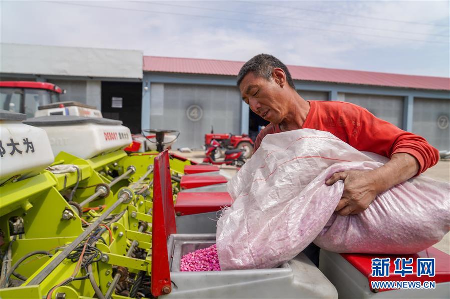 （在习近平新时代中国特色社会主义思想指引下——新时代新作为新篇章·习近平总书记关切事·图文互动）（8）让每一寸耕地都成为丰收的沃土——我国加强耕地?；ね平?ldquo;藏粮于地”