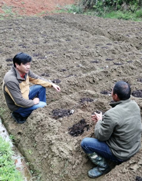 华能驻福建上洋村第一书记郑永 点滴小事，打造稳稳的幸福