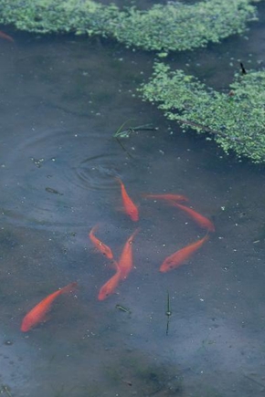 浣溪沙·端午