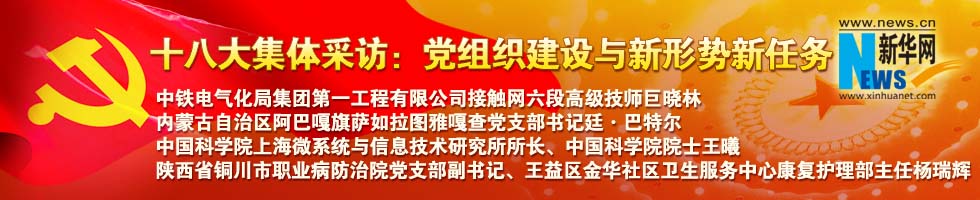 十八大集体采访:党组织建设与新形势新任务